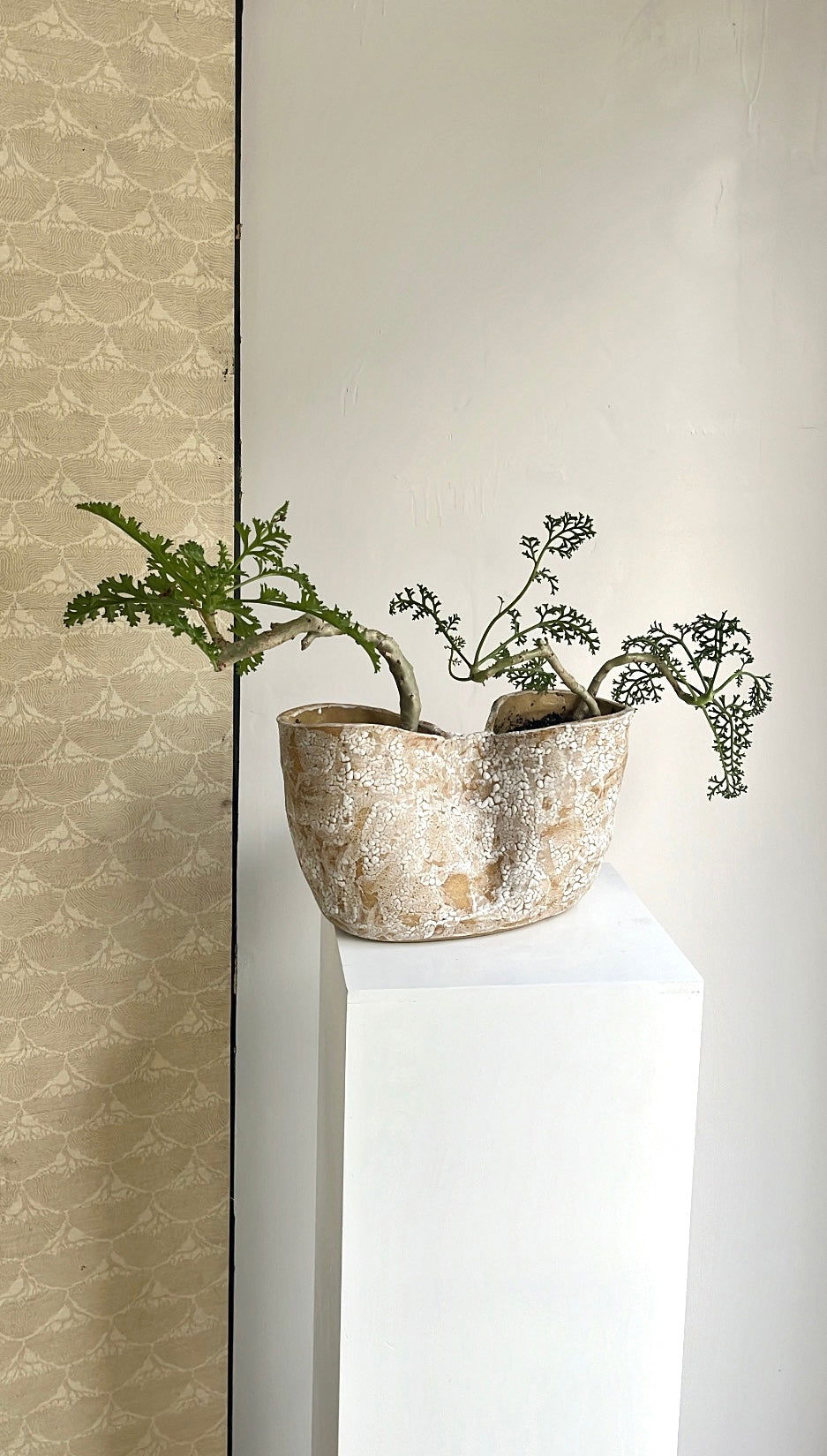 55 snow planter - Mipa's pots and plants