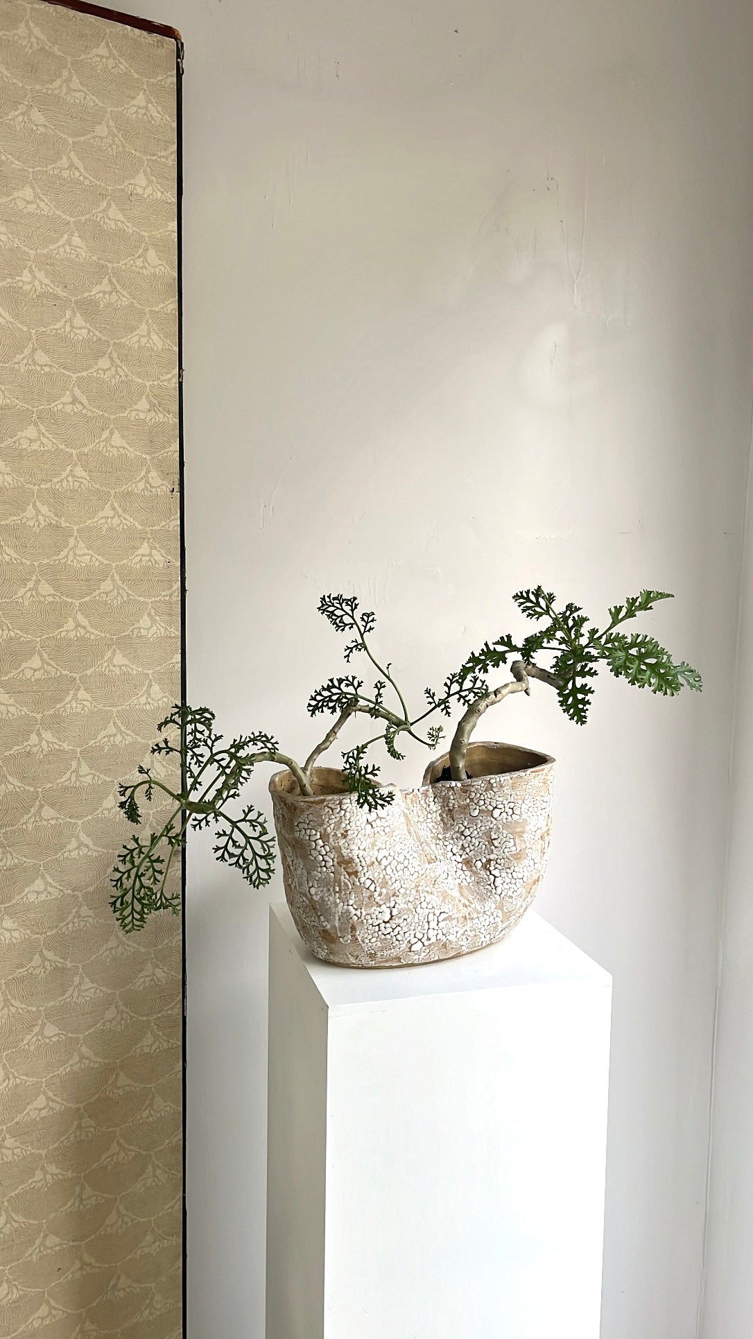 55 snow planter - Mipa's pots and plants