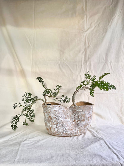 55 snow planter - Mipa's pots and plants