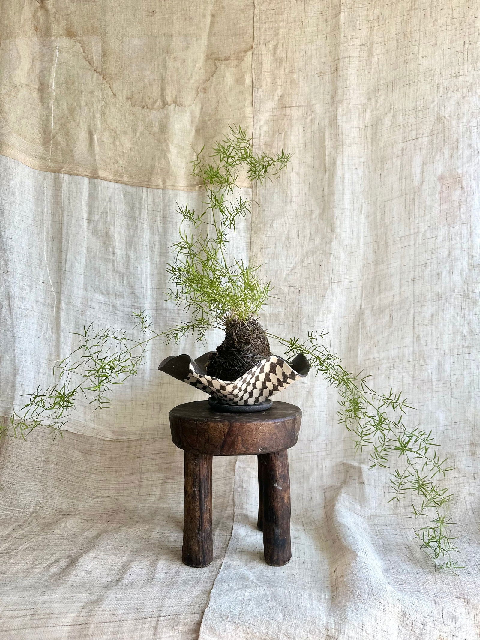 58 b/w checkers planter set - Mipa's pots and plants