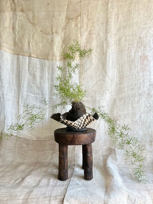 58 b/w checkers planter set - Mipa's pots and plants