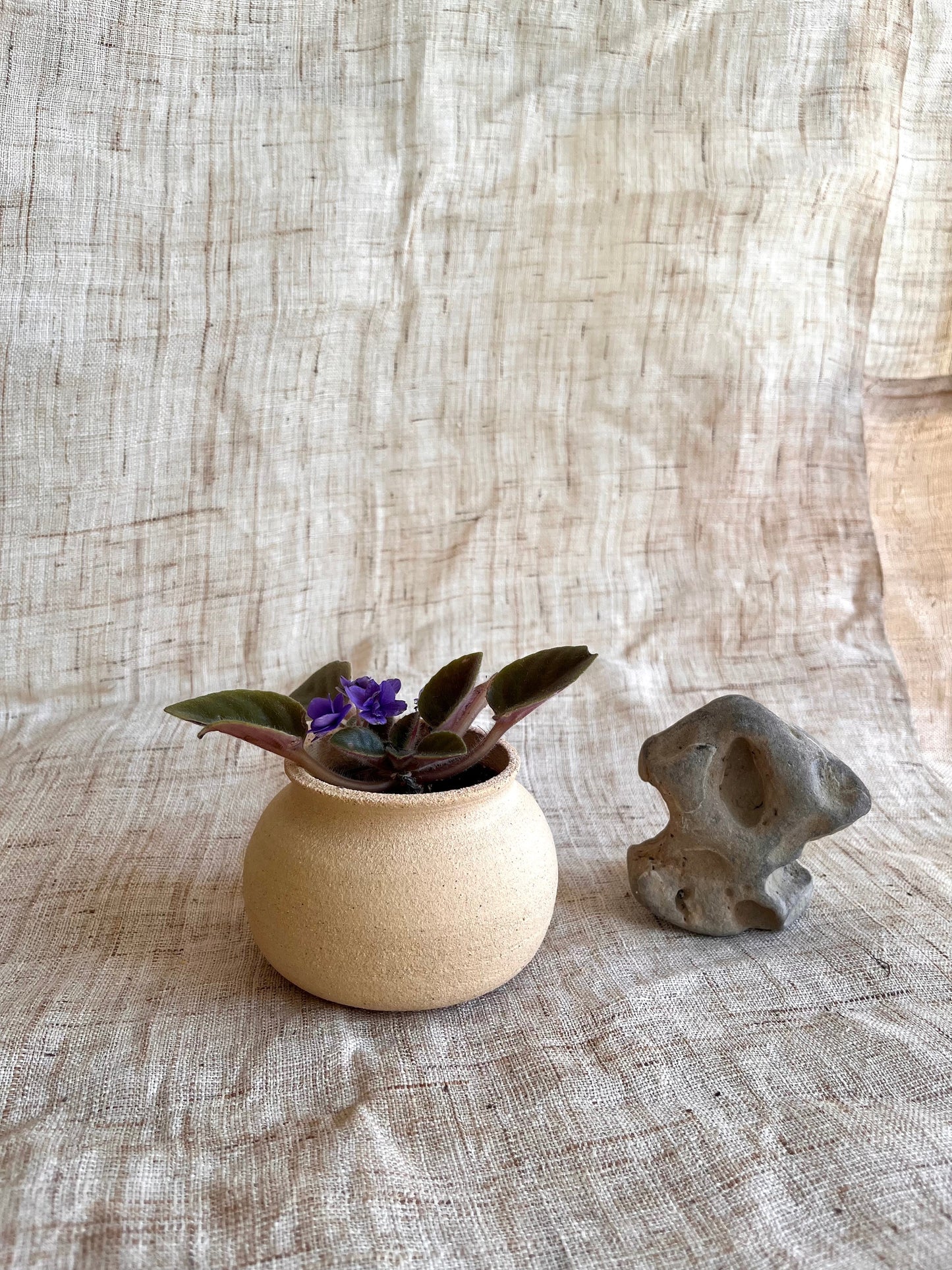 (Pre-order) small moon jar planter