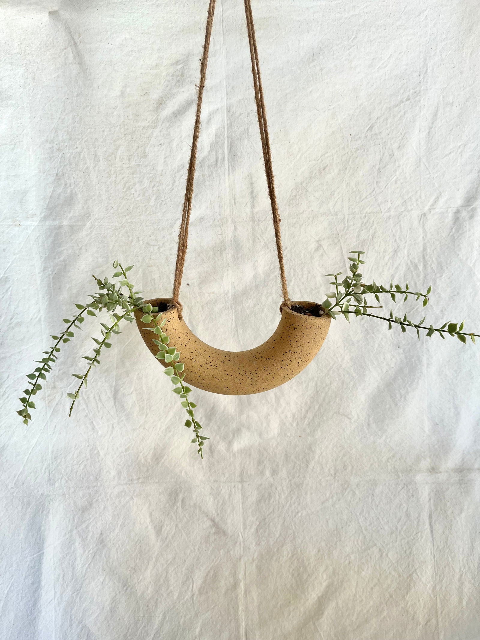 59 King macaroni planter - Mipa's pots and plants