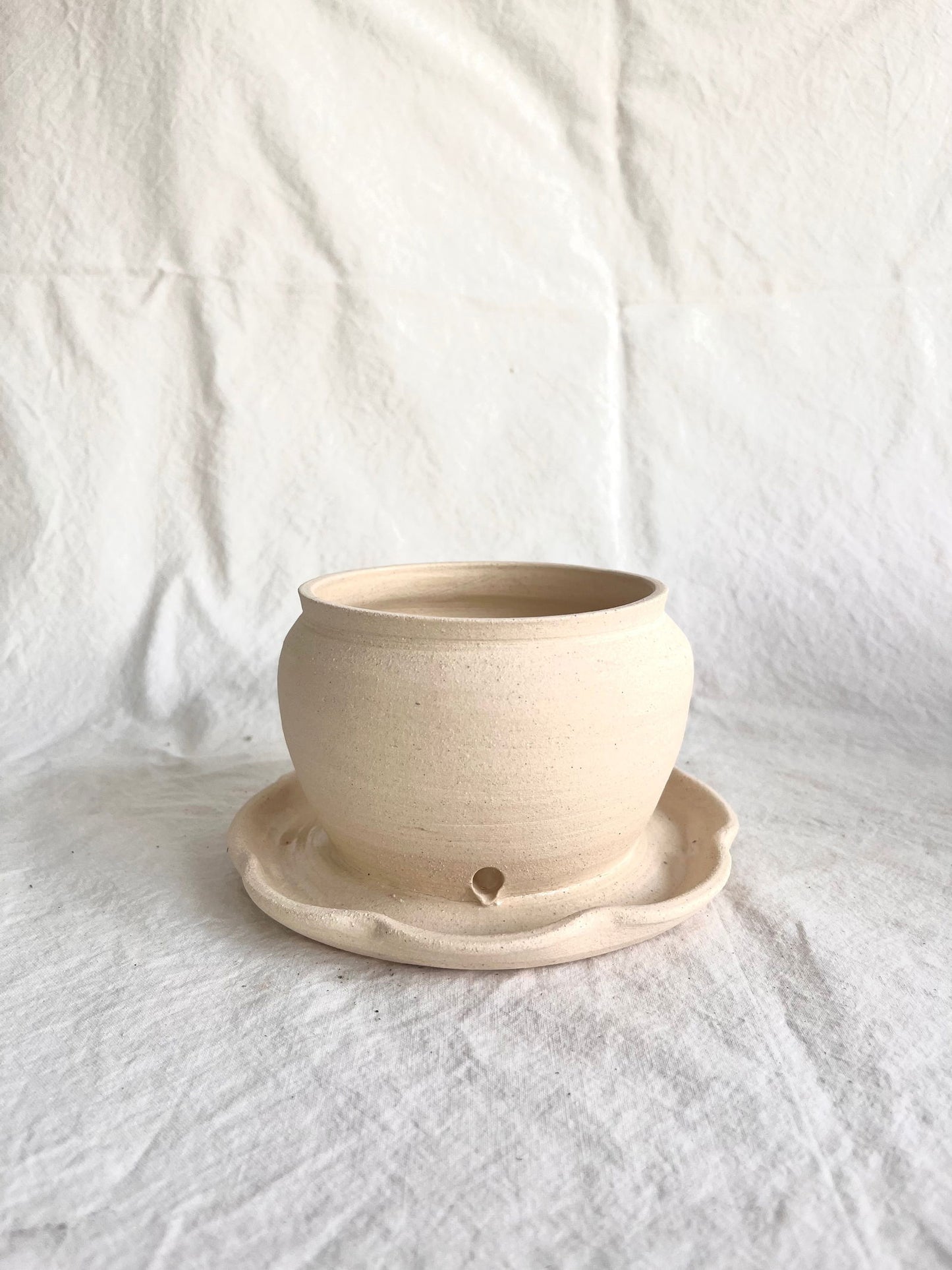 5 off white planter w/saucer - Mipa's pots and plants
