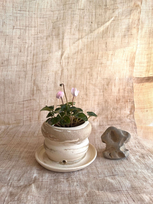 68 mud/cream planter - Mipa's pots and plants