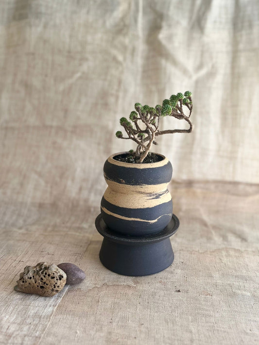 6 ink wash pedestal saucer set - Mipa's pots and plants