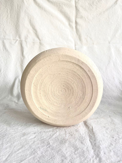 6 off-white flower caudex planter - Mipa's pots and plants