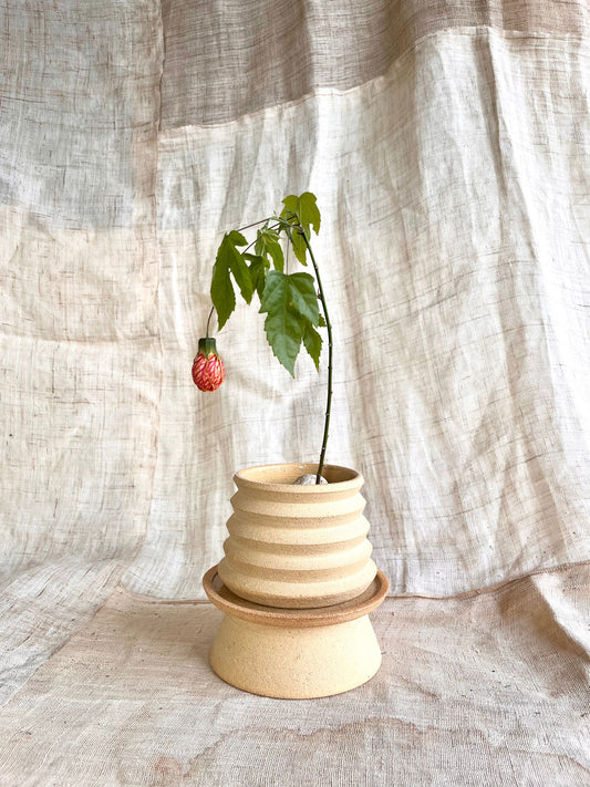 6 sand pedestal saucer set - Mipa's pots and plants