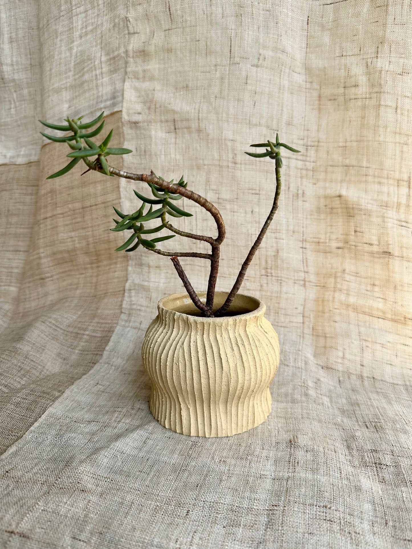 6 sand planter - Mipa's pots and plants