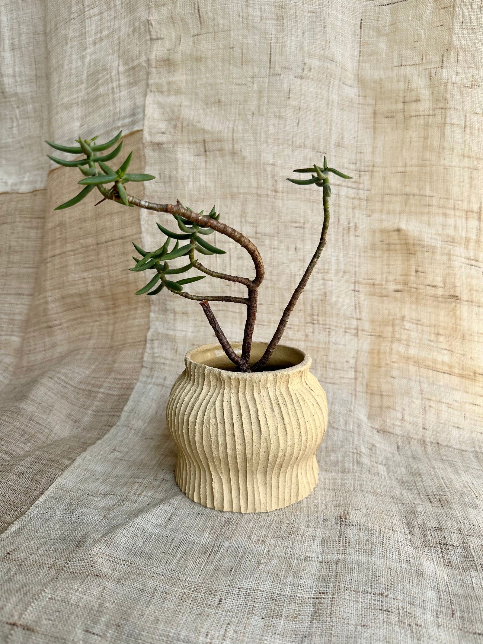 6 sand planter - Mipa's pots and plants