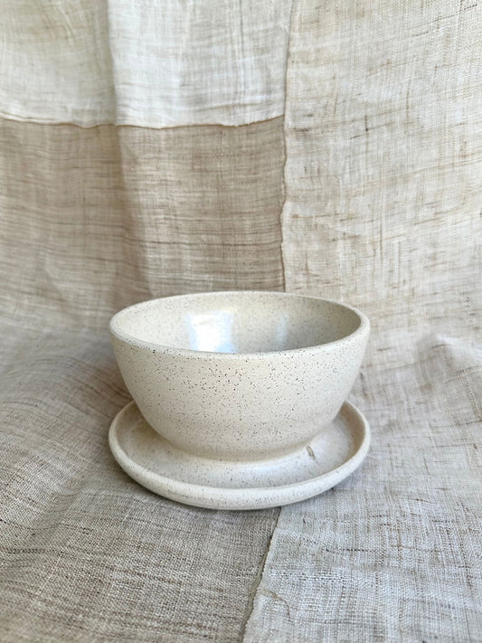70 c/c large caudex planter - Mipa's pots and plants