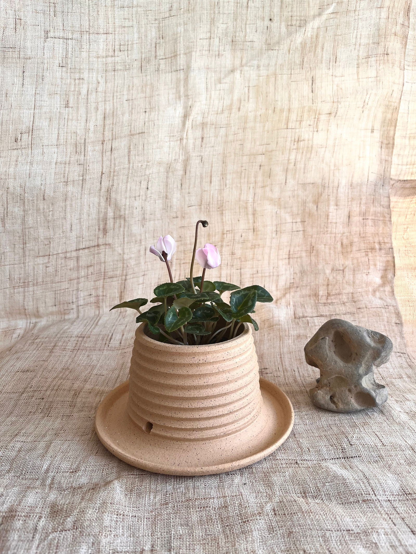 71 S.B pagoda planter - Mipa's pots and plants
