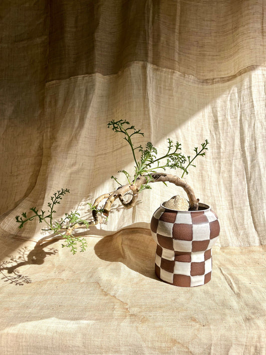 71 chocolate checkers planter - Mipa's pots and plants