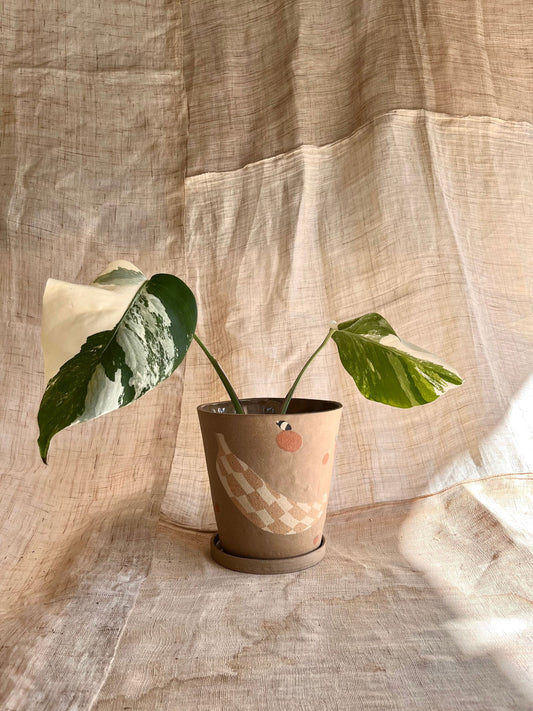 76 apple/banana planter set - Mipa's pots and plants