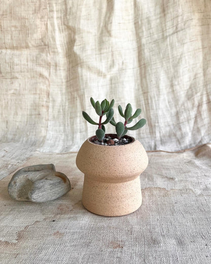 78 S.B mushroom planteru - Mipa's pots and plants