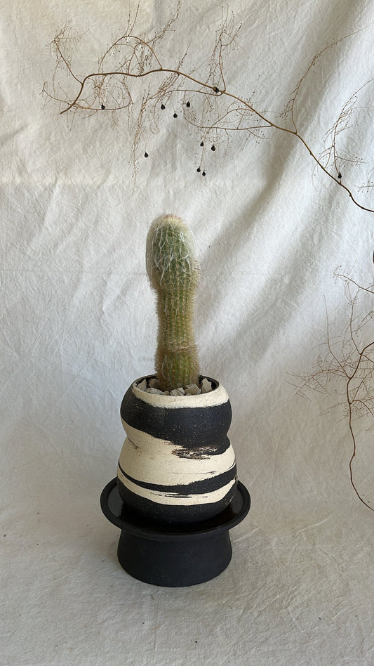 7 b&w pedestal saucer set - Mipa's pots and plants