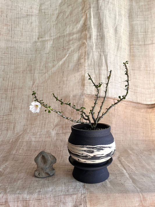 7 ink wash pedestal saucer set - Mipa's pots and plants