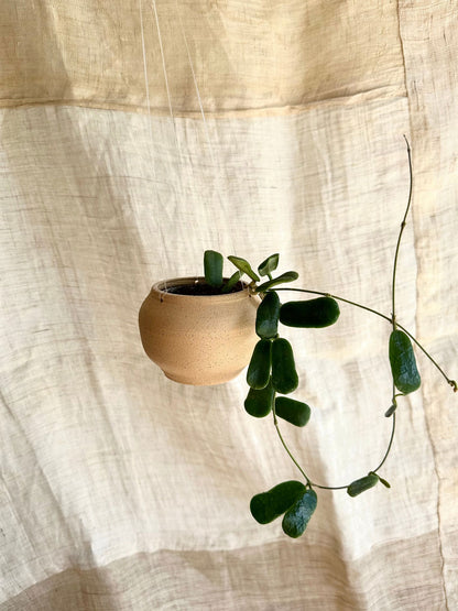 7 s.b hanging mini moonjar planter - Mipa's pots and plants