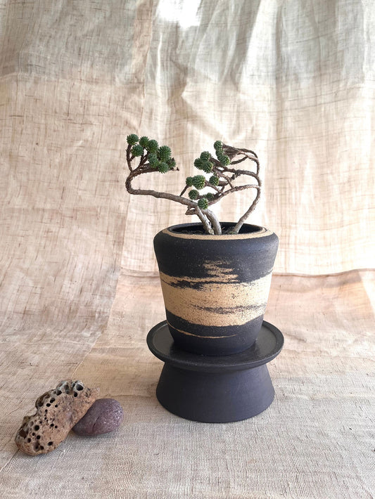 7 sand/black pedestal saucer set - Mipa's pots and plants