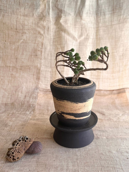 7 sand/black pedestal saucer set - Mipa's pots and plants