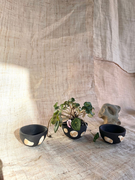 85 tiny planter - Mipa's pots and plants