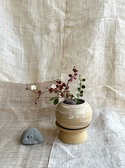 8 sandstorm pedestal saucer set - Mipa's pots and plants