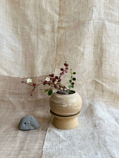 8 sandstorm pedestal saucer set - Mipa's pots and plants