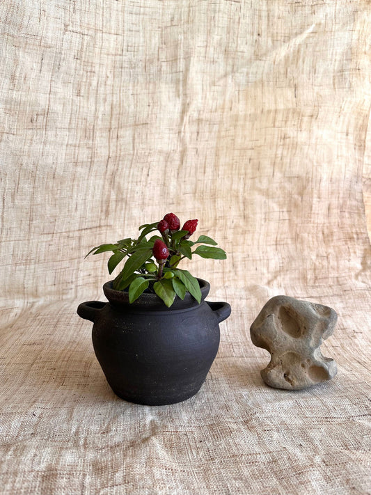 93 small black planter - Mipa's pots and plants