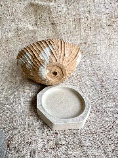 62 seashell planter set