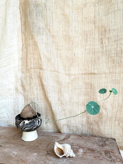 Stephania erecta w/ planter