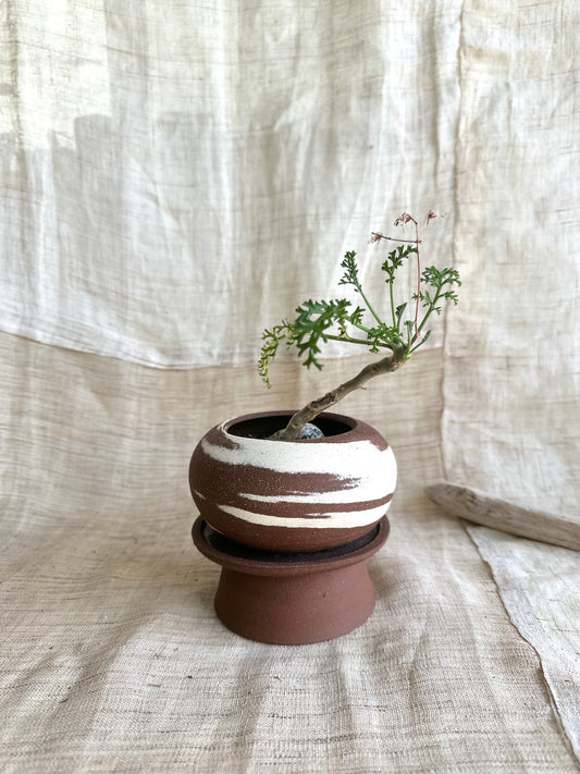 32 chocolate pedestal saucer set