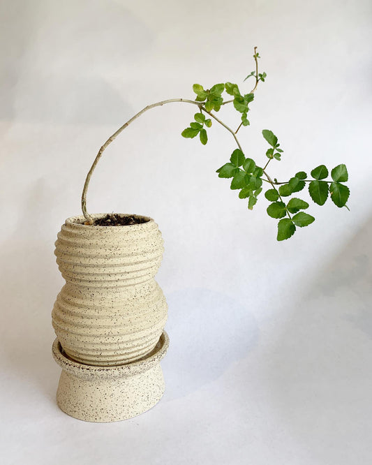 9 pedestal saucer set - Mipa's pots and plants