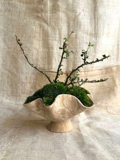 9 sandstorm planter - Mipa's pots and plants