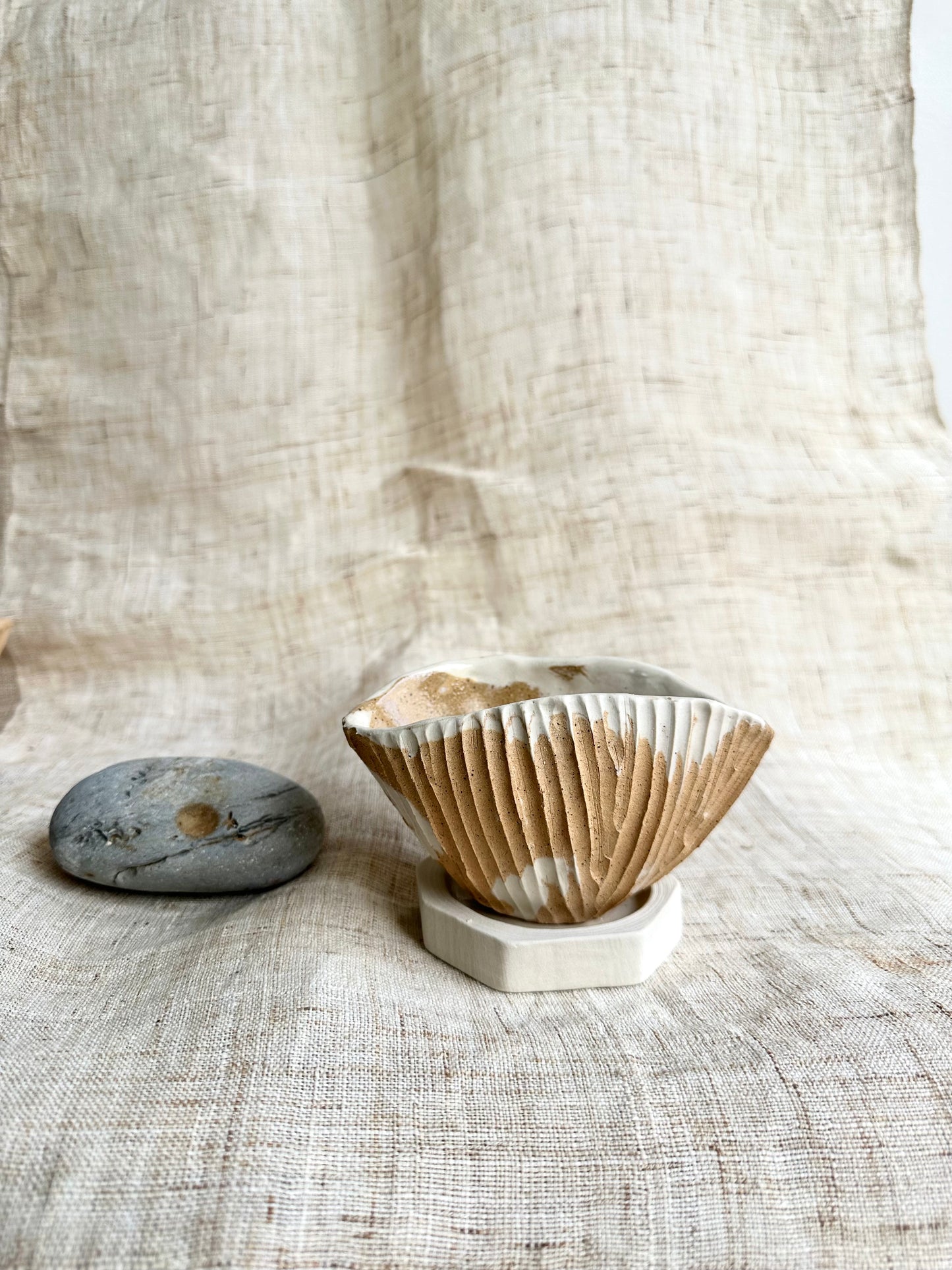 62 seashell planter set