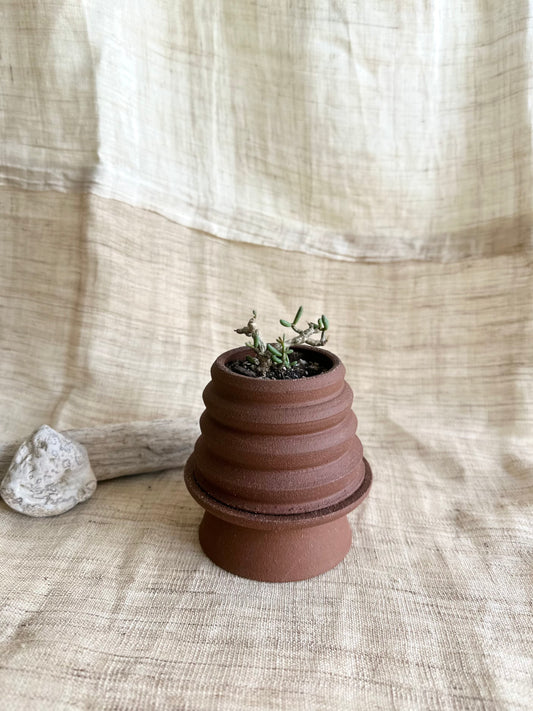 4 chocolate mini pedestal set