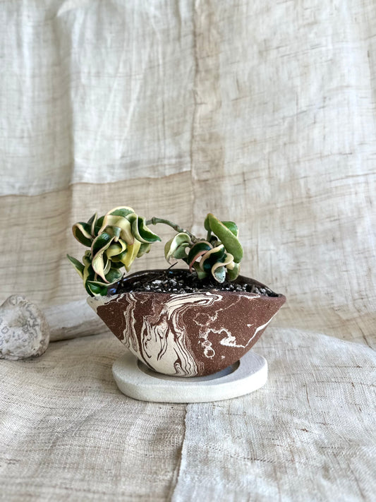 23 chocolate swirl planter set