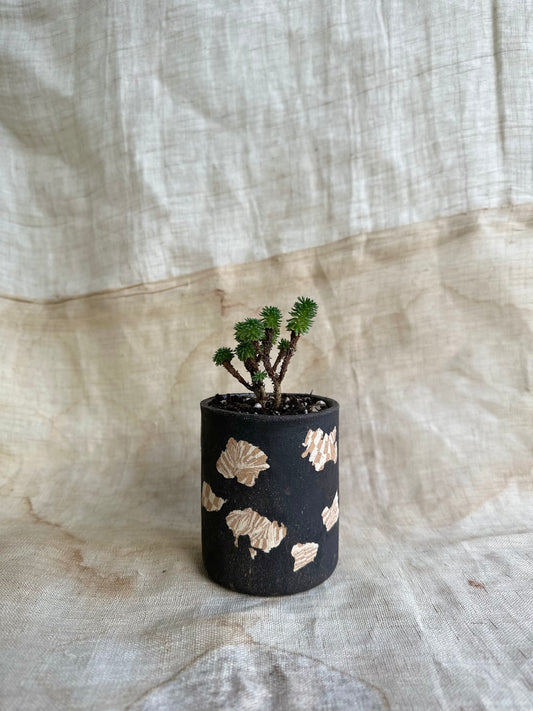 77 black inlay planter