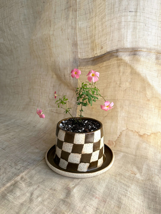 27 checkers planter