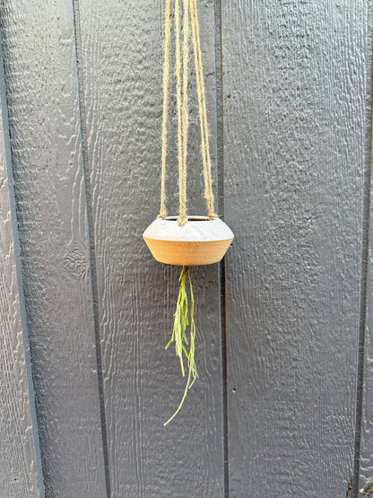 Mini UFO planter - Mipa's pots and plants