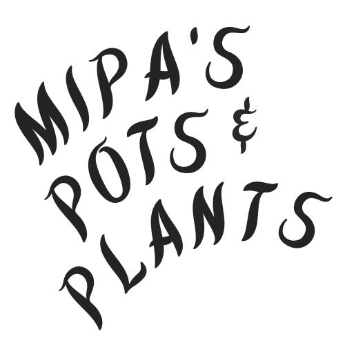 Mipa's pots and plants