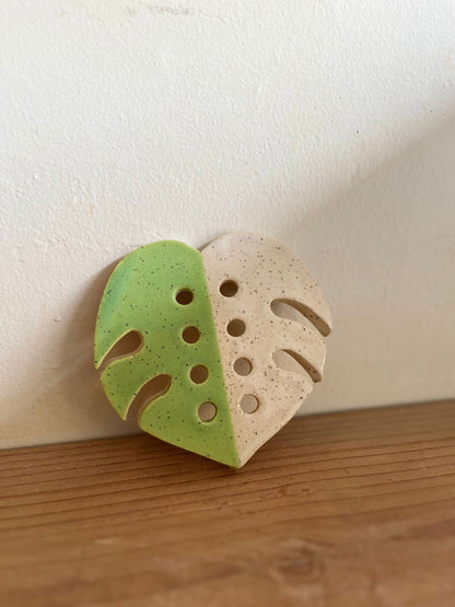 Monstera propagation frog - Mipa's pots and plants