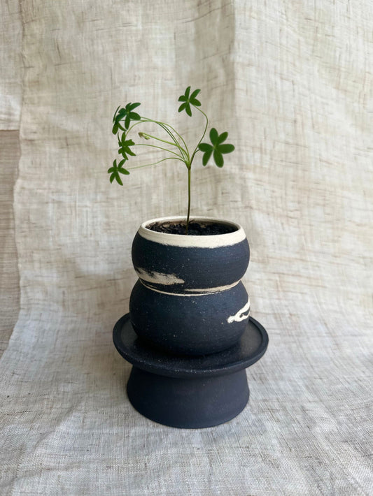 Oxalis stellata w/inkwash pedestal saucer set - Mipa's pots and plants