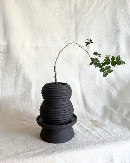(Pre-order) 51 pedestal saucer set - Mipa's pots and plants