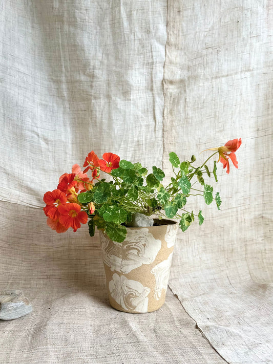 (Sale) 13 sandstorm planter - Mipa's pots and plants