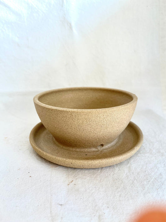 (Sale)28 oatmeal caudex planter - Mipa's pots and plants