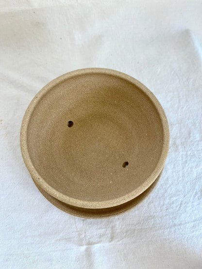 (Sale)28 oatmeal caudex planter - Mipa's pots and plants