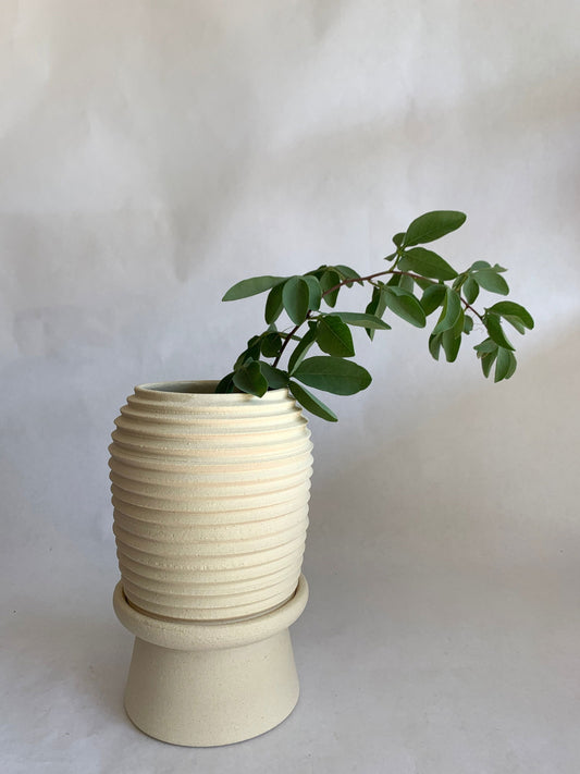 (Sale) 39 Planter + pedestal saucer set - Mipa's pots and plants