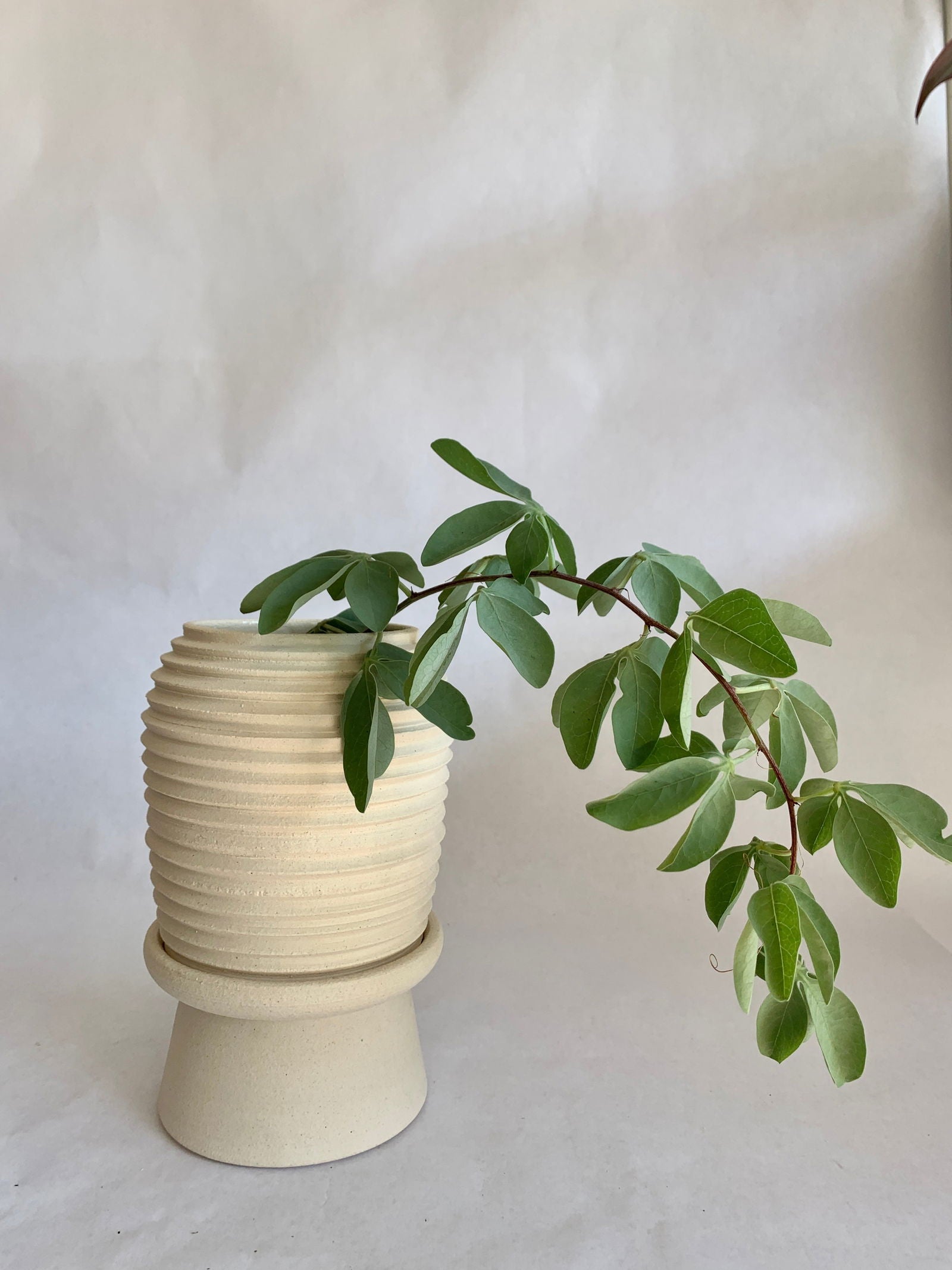 (Sale) 39 Planter + pedestal saucer set - Mipa's pots and plants