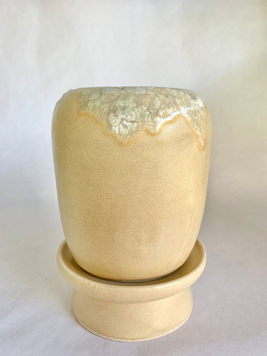 (Sale) 40 Planter + pedestal saucer set - Mipa's pots and plants