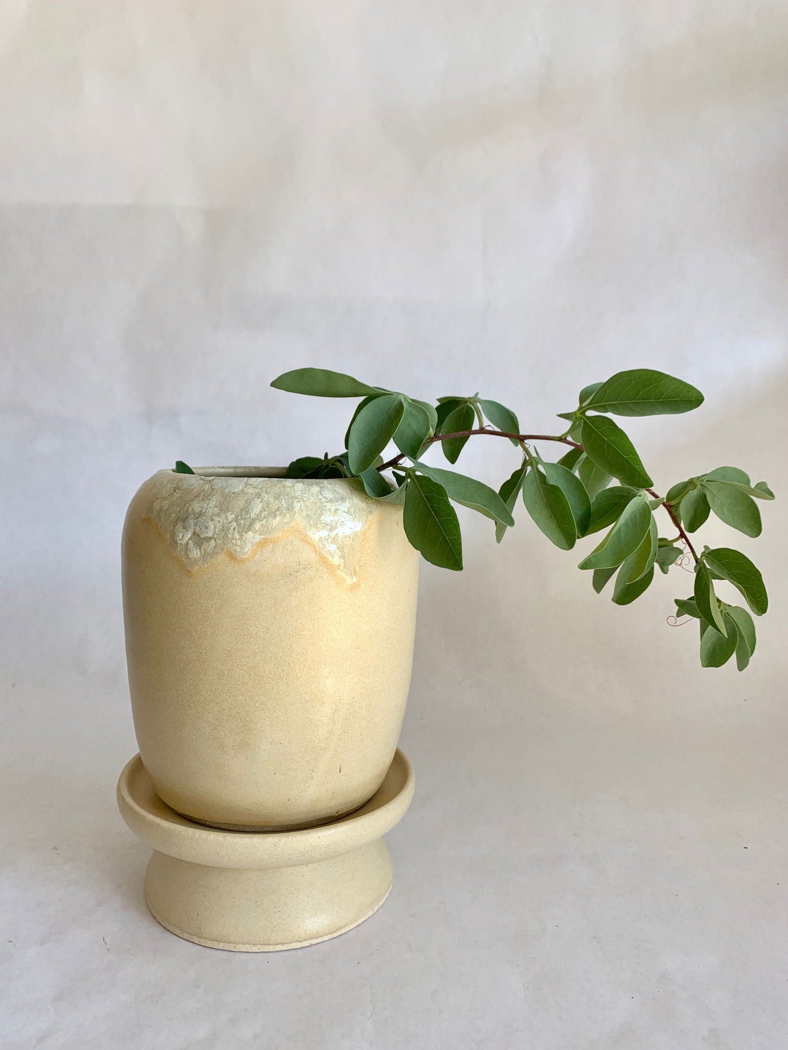 (Sale) 40 Planter + pedestal saucer set - Mipa's pots and plants